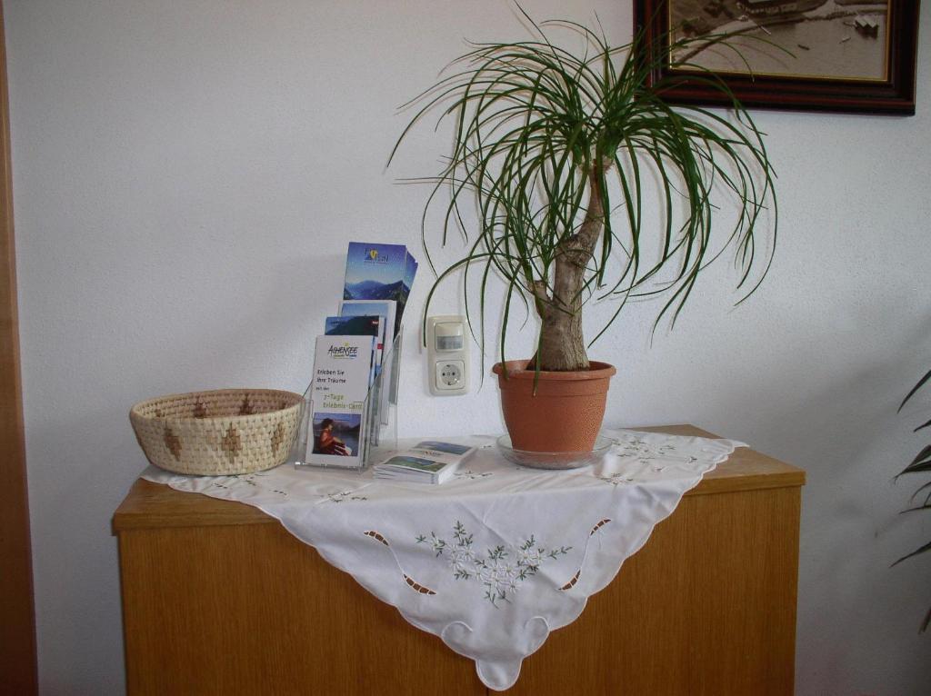דירות פרטיסאו Haus Waldfriede מראה חיצוני תמונה
